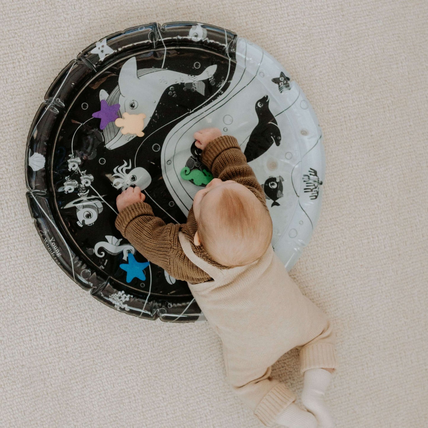 Tummy Time High Contrast Sensory Bundle