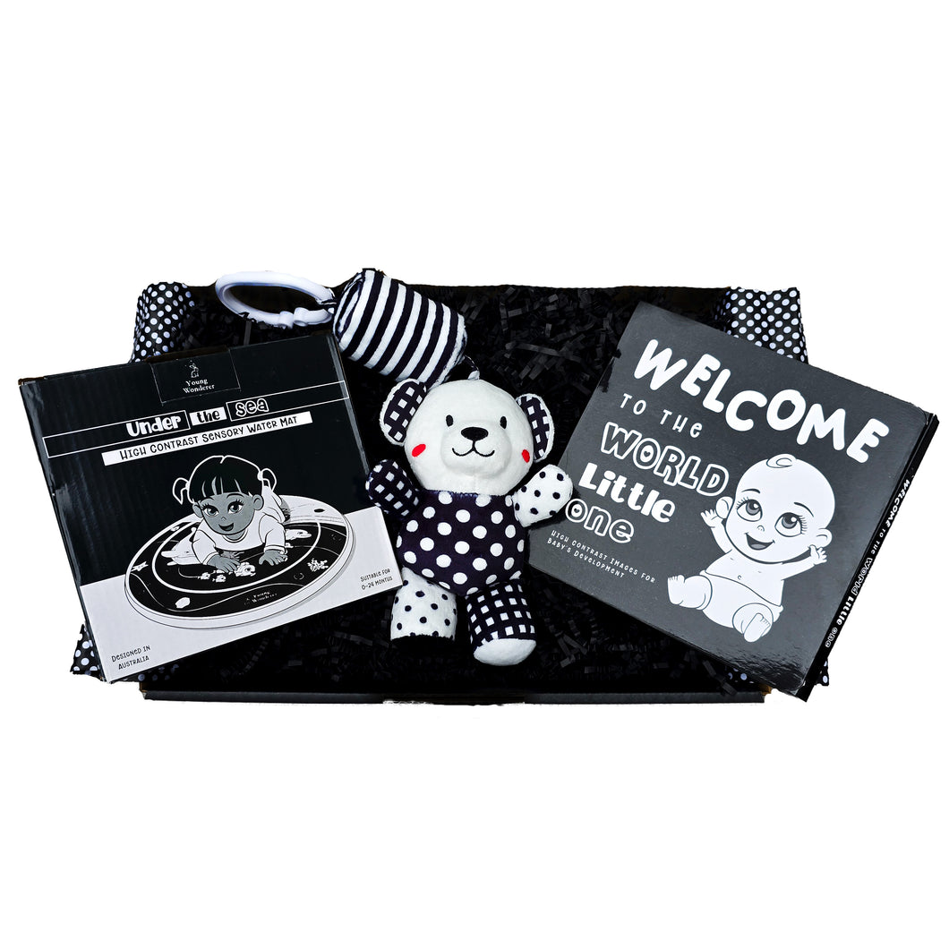 black and white baby gift, black and white baby gift box, high contrast baby gift box, high contrast baby gift, baby shower gift box, baby gifts, baby gift box, newborn gift box, newborn gift, high contrast gift, black and white gift, baby shower gift idea, new baby gift box, black and white baby boutique, black and white baby toys, high contrast baby toys, gender neutral baby gift box, gender neutral baby gift, unisex baby gift box, unisex baby gift, unisex baby shower gift,