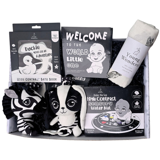 High Contrast Black and White Baby Unisex Gift Set Baby Shower Gift Idea Newborn Gift Box Sensory Books and Toys