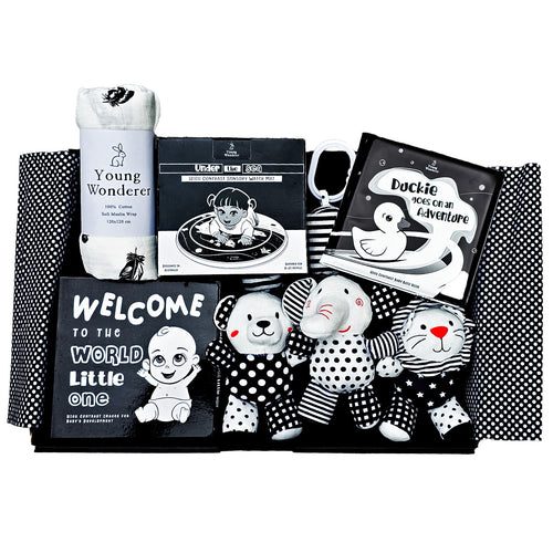 black and white baby gift, black and white baby gift box, high contrast baby gift box, high contrast baby gift, baby shower gift box, baby gifts, baby gift box, newborn gift box, newborn gift, high contrast gift, black and white gift, baby shower gift idea, new baby gift box, black and white baby boutique, black and white baby toys, high contrast baby toys, gender neutral baby gift box, gender neutral baby gift, unisex baby gift box, unisex baby gift, unisex baby shower gift,