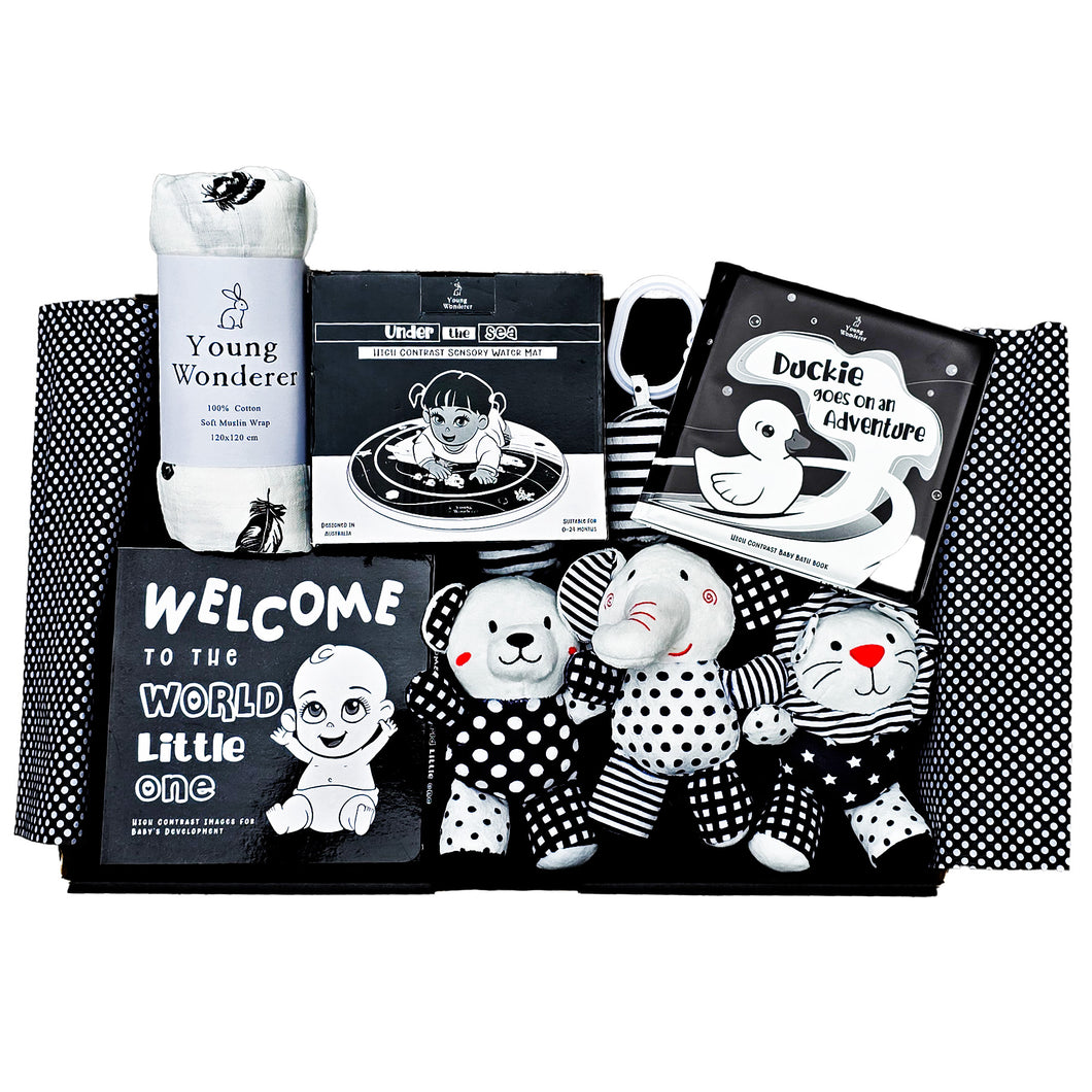 black and white baby gift, black and white baby gift box, high contrast baby gift box, high contrast baby gift, baby shower gift box, baby gifts, baby gift box, newborn gift box, newborn gift, high contrast gift, black and white gift, baby shower gift idea, new baby gift box, black and white baby boutique, black and white baby toys, high contrast baby toys, gender neutral baby gift box, gender neutral baby gift, unisex baby gift box, unisex baby gift, unisex baby shower gift,