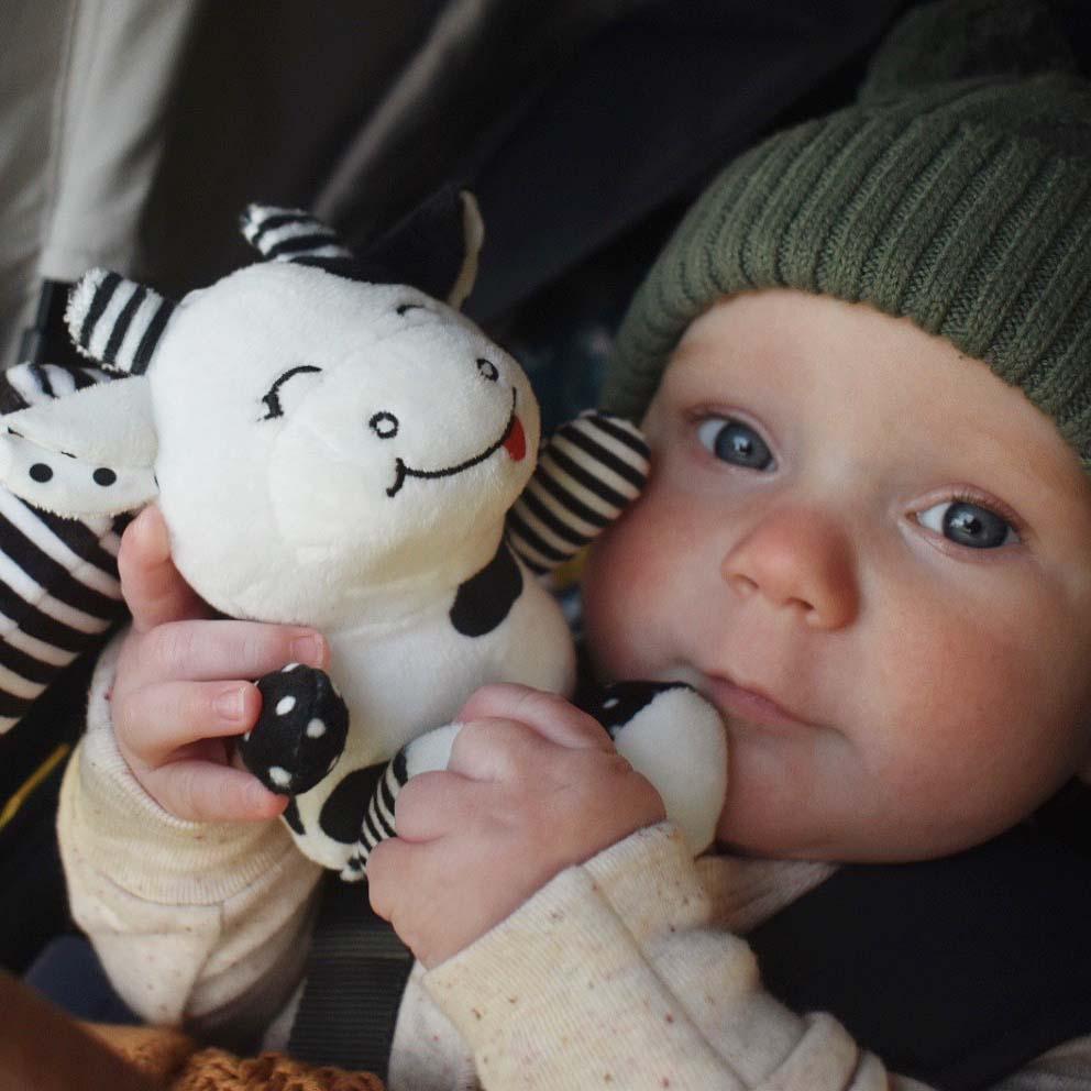 sensory toy, baby sensory, baby toy, Black and white hanging bear toy. high contrast baby toy, young wonderer, young wonderer baby boutique, black and white baby toy, high contrast baby toy, high contrast toy, black and white toy, hanging baby toy, black and white hanging toy, baby gym toy, baby gym hanging toy, high contrast, black and white